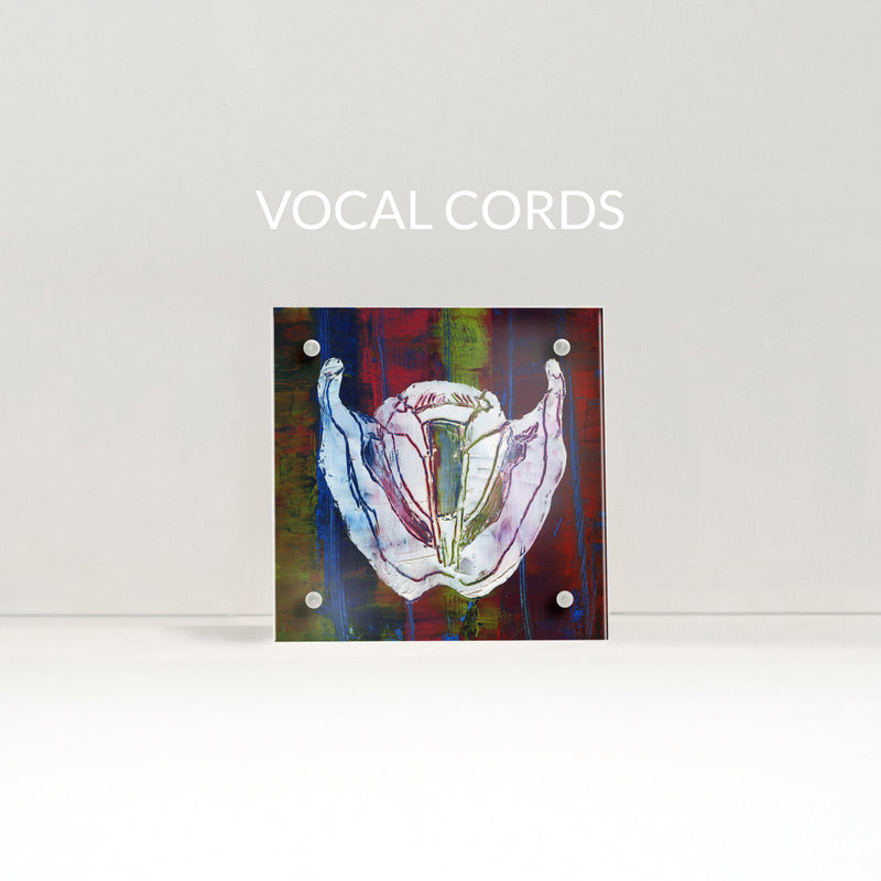 Speech Path / Ent Desktop Anatomy Art - Acrylic Framed Mini Print - Lyon Road Art