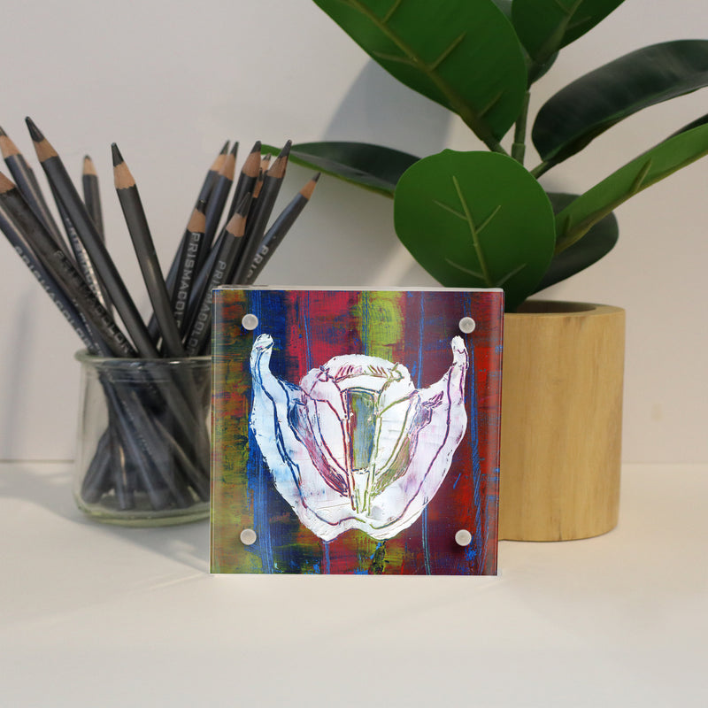 Speech Path / Ent Desktop Anatomy Art - Acrylic Framed Mini Print - Lyon Road Art