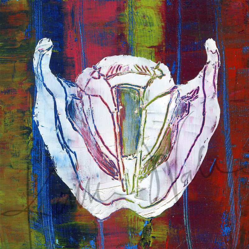 Speech Path / Ent Desktop Anatomy Art - Acrylic Framed Mini Print - Lyon Road Art