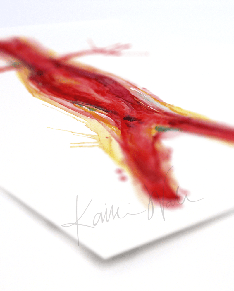 Cardiovascular Print Set Watercolor- quality watercolor print