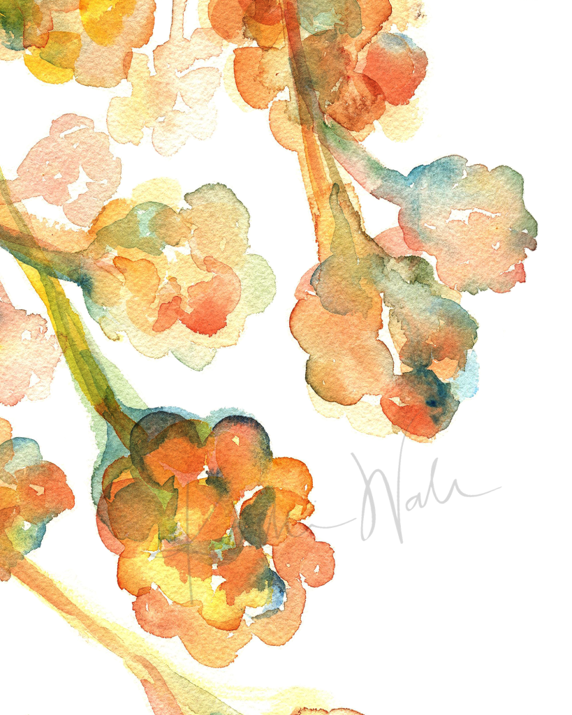 Alveoli Print Watercolor