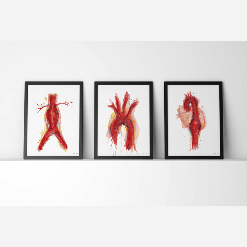 Cardiovascular Print Set Watercolor- Cardiovascular Art Set- Medical Condition- Gift for Doctor