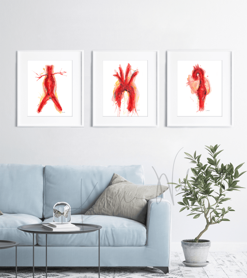 Cardiovascular Print Set Watercolor framed in a doctor's office - professional art- clinic art - gift for doctor