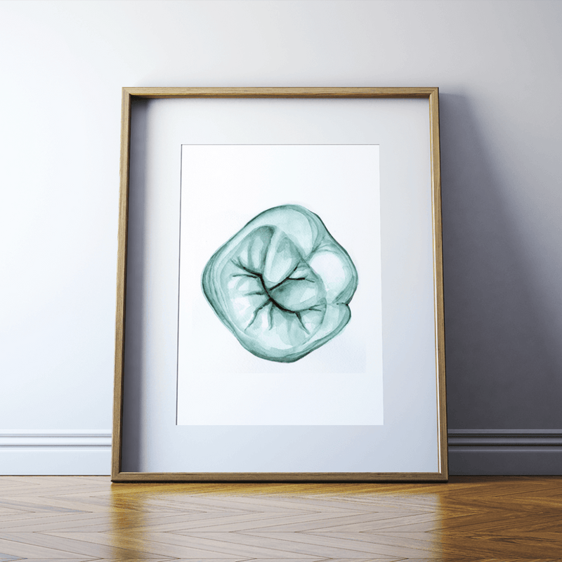 Molar In Aqua Iii Print Watercolor
