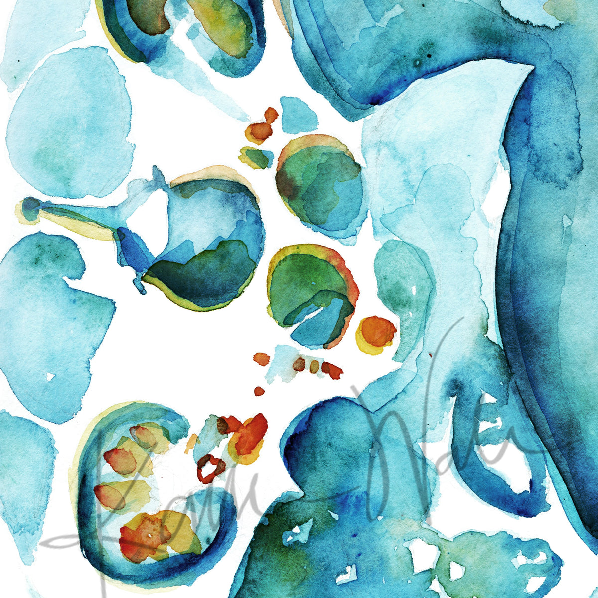 Abdomen Cross Section II Print | Lyon Road Art | Anatomy Art