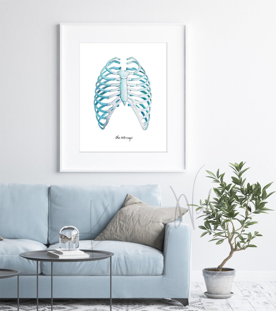 Rib Cage Print Watercolor