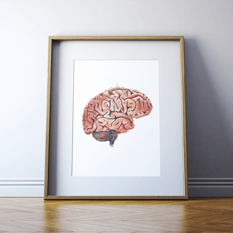 Anatomy Art Painting Print of a Sagittal Brain in Watercolor