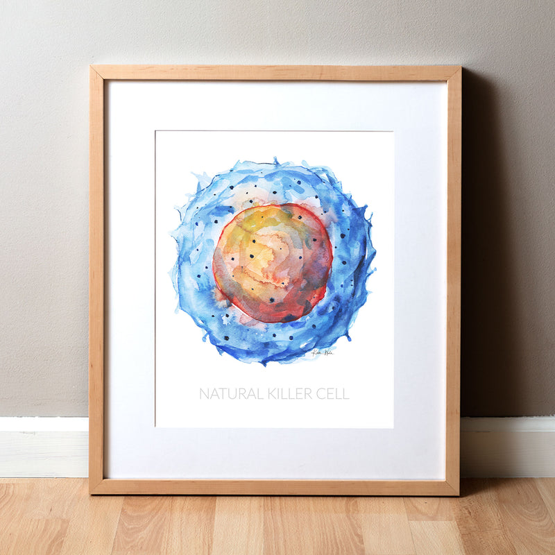 Framed watercolor painting of a natural killer cell.
