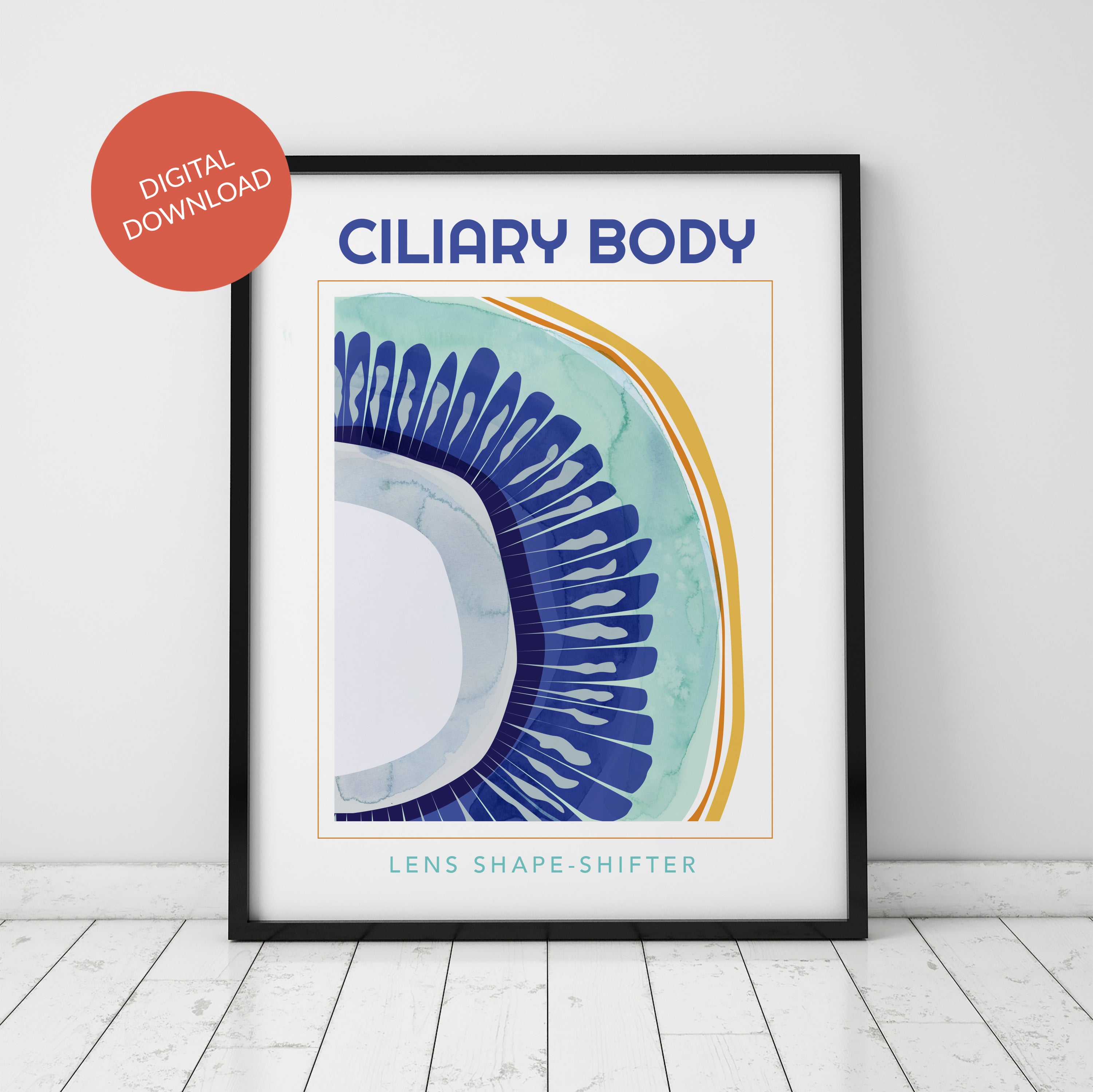Ciliary Body Poster - LIMITED EDITION DIGITAL DOWNLOAD - Lyon Road Art