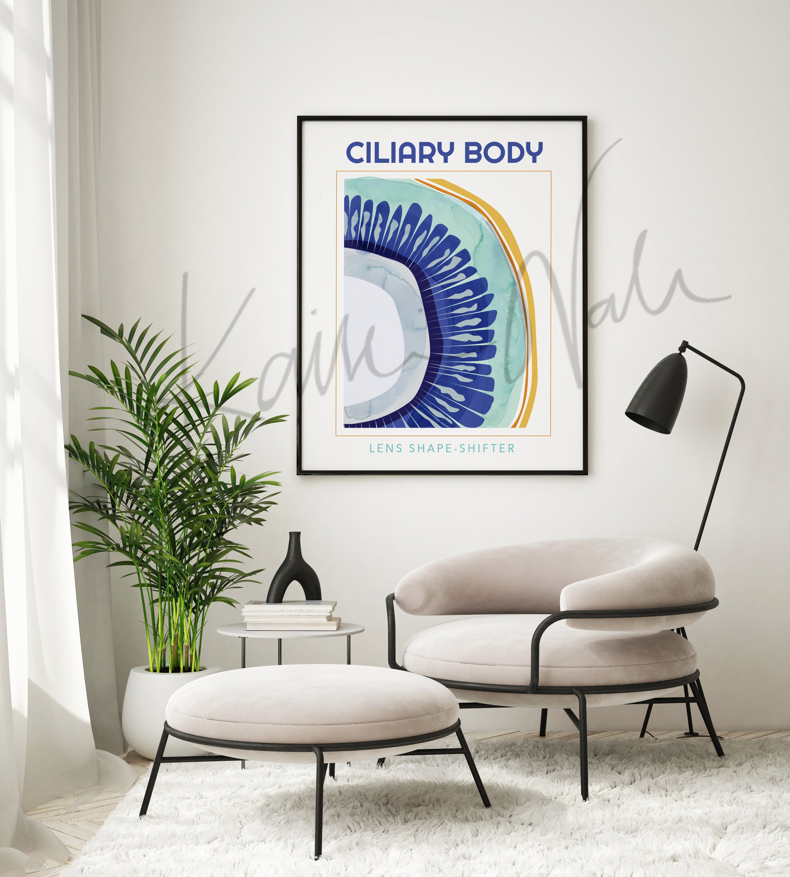 Ciliary Body Poster - LIMITED EDITION DIGITAL DOWNLOAD - Lyon Road Art
