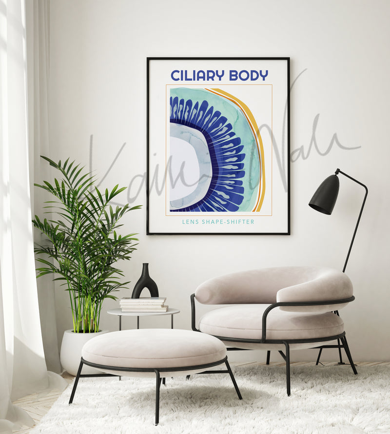 Ciliary Body Poster - LIMITED EDITION DIGITAL DOWNLOAD - Lyon Road Art