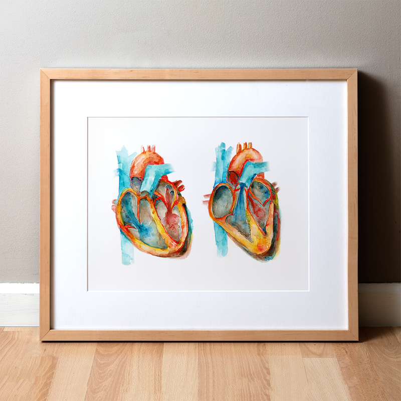 Diastole and Systole Watercolor Print - Lyon Road Art