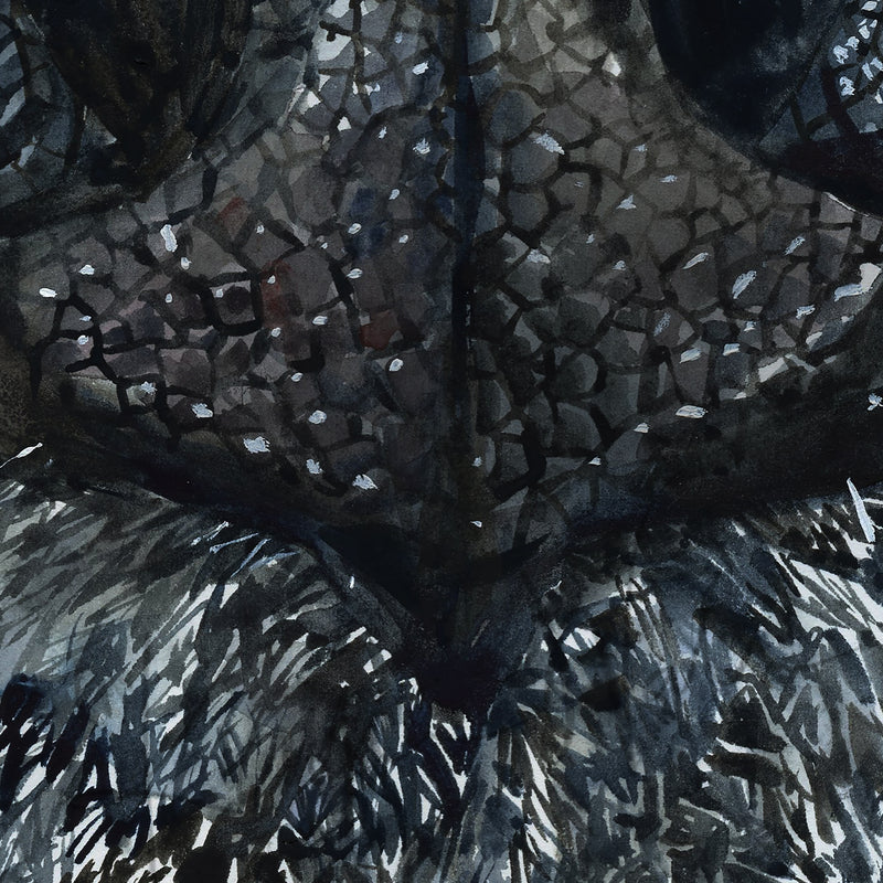 Zoomed in view of a watercolor painting of a zoomed in perspective of a dog’s nose. The painting is in black and white.