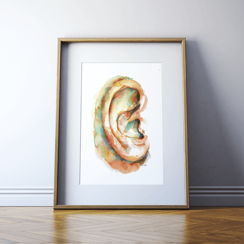 Ear Watercolor Print