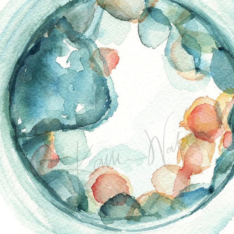 Embryo Set Of 3 Watercolor Prints Print