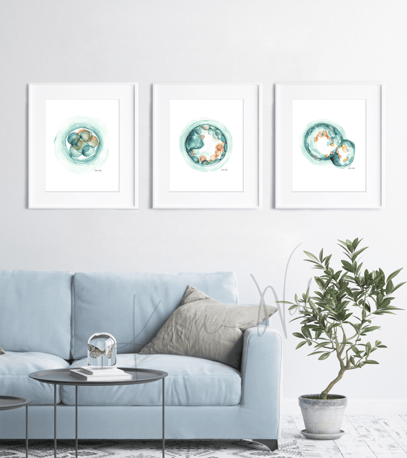 Embryo Set Of 3 Watercolor Prints Print