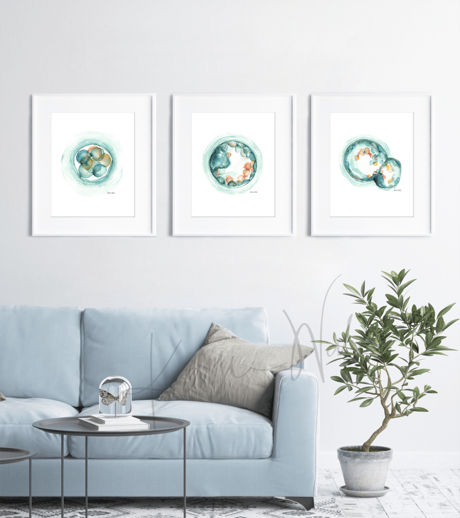 Embryo Set Of 3 Watercolor Prints Print