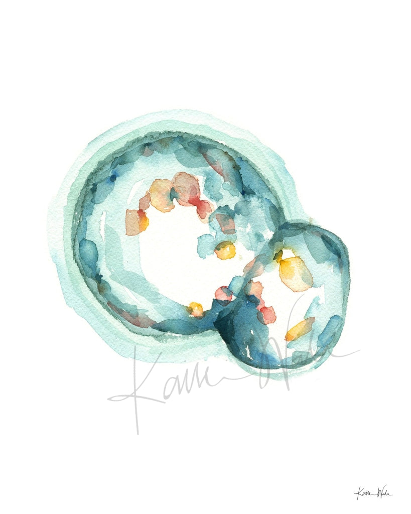 Embryo Set Of 3 Watercolor Prints Print