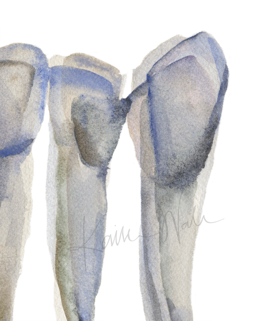 Quality Watercolor print- Professional Dental Art- High Quality- Office Art