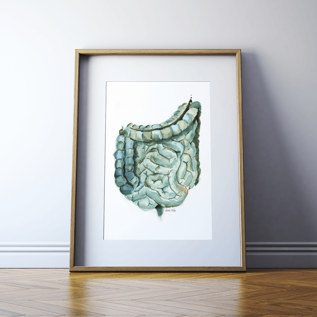 Intestines In Blue-Green Print Watercolor- Gastorenterologist art- doctors art -anatomy art- git for nurses