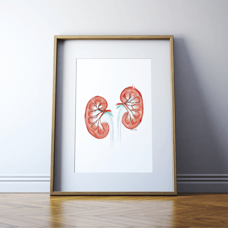 Kidney Print Watercolor