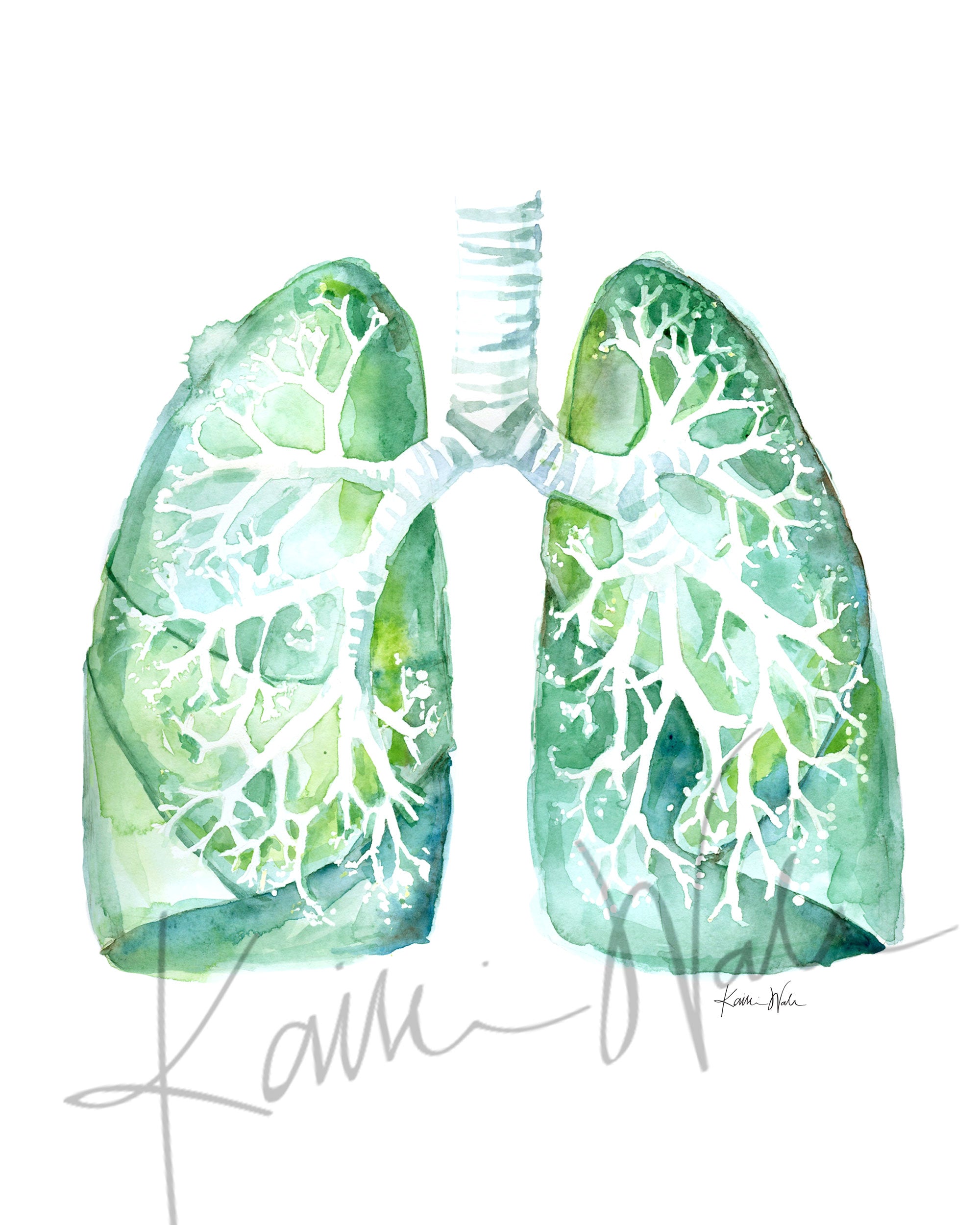 Lung Disease Prevention Watercolor Print - Lyon Road Art