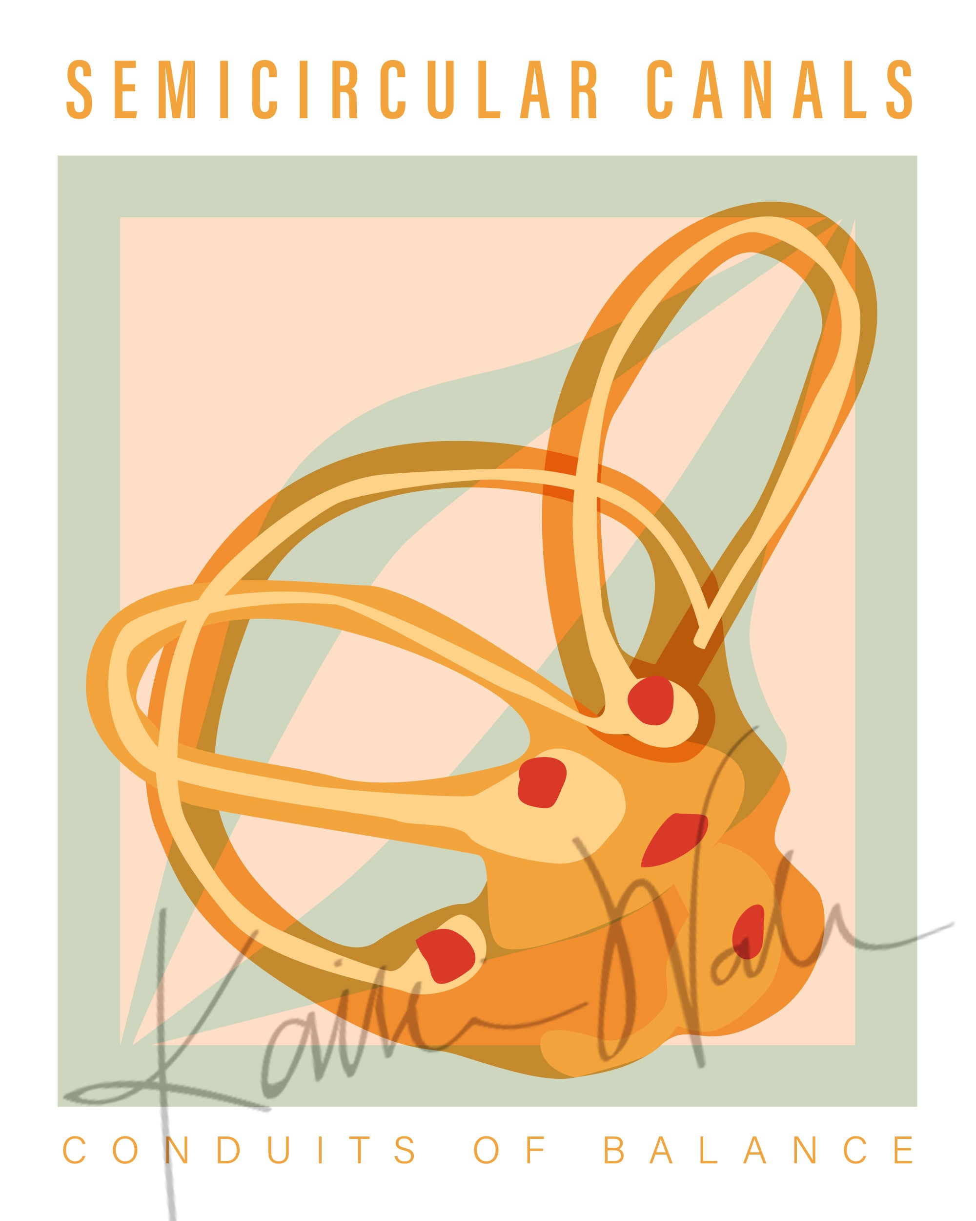 Semicircular Canals Poster - LIMITED EDITION DIGITAL DOWNLOAD