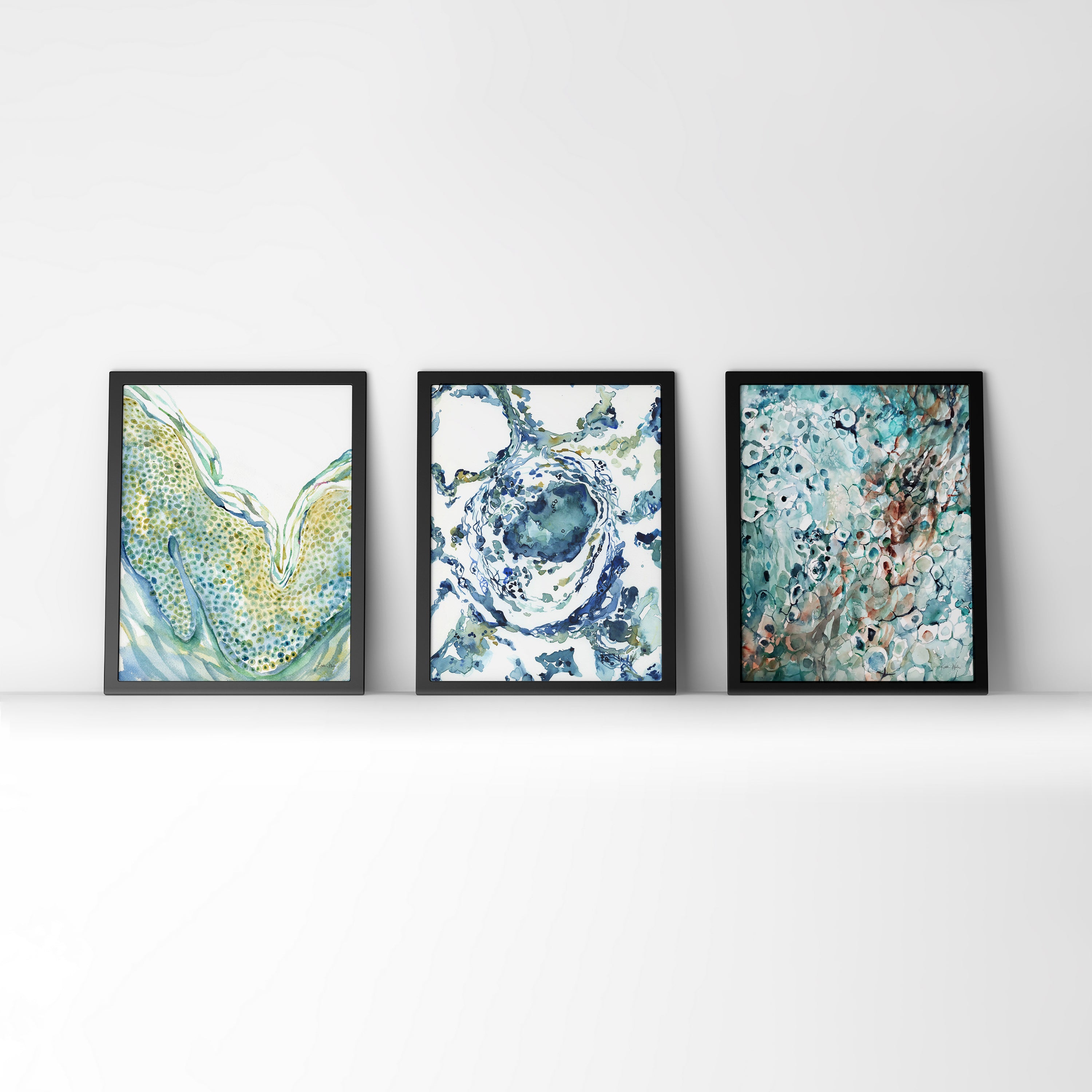Skin Histology Watercolor Print Set