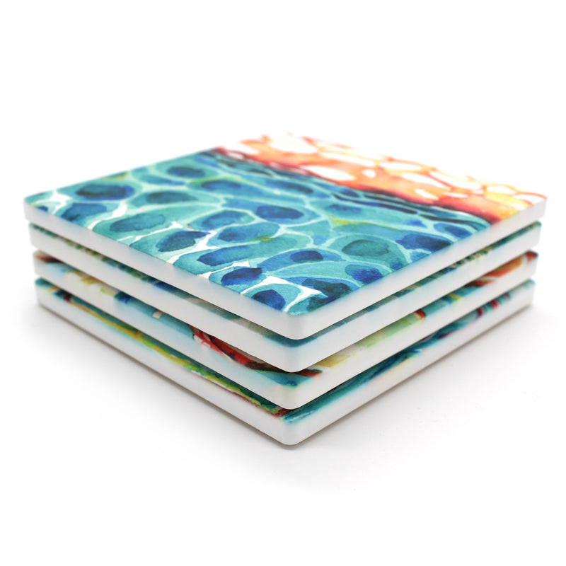 Skin Histology Ceramic Coaster Set of 4 - Lyon Road Art
