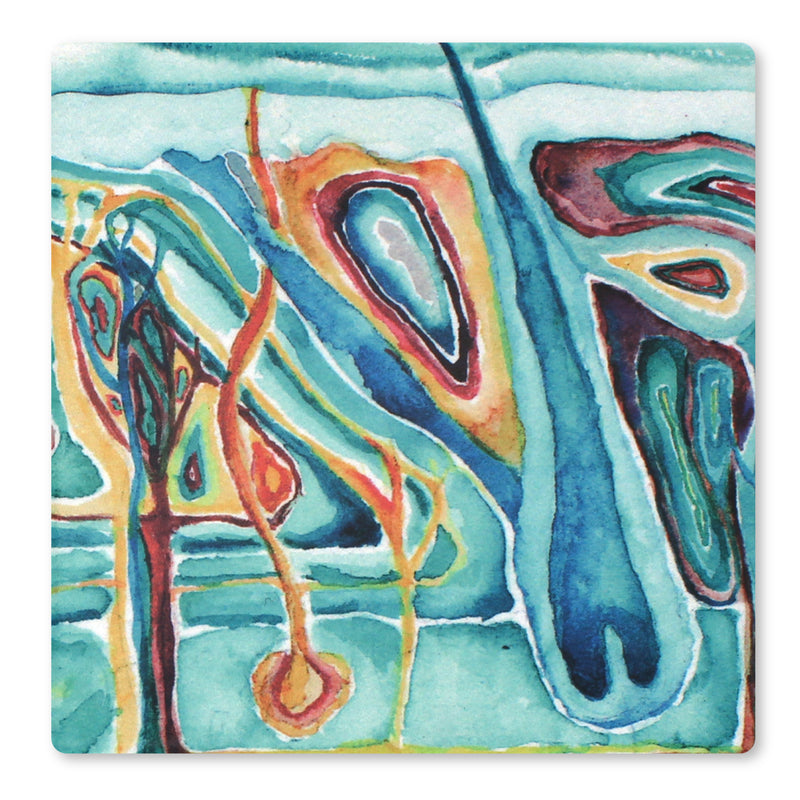 Skin Histology Ceramic Coaster Set of 4 - Lyon Road Art