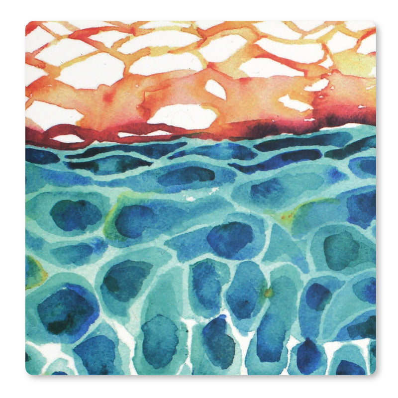 Skin Histology Ceramic Coaster Set of 4 - Lyon Road Art