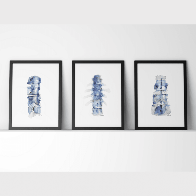 Blue Spine Print Set Watercolor