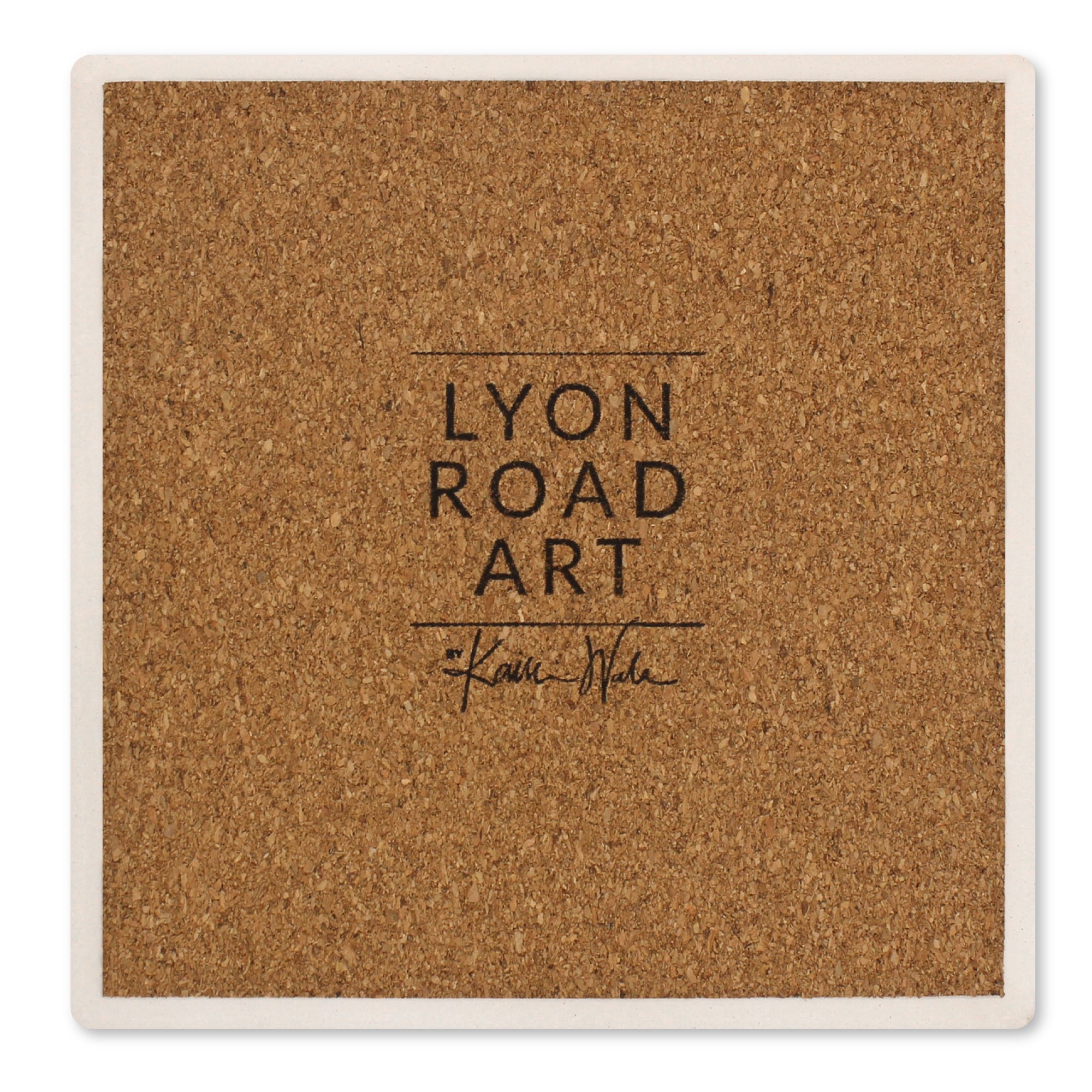 Skin Histology Ceramic Coaster Set of 4 - Lyon Road Art