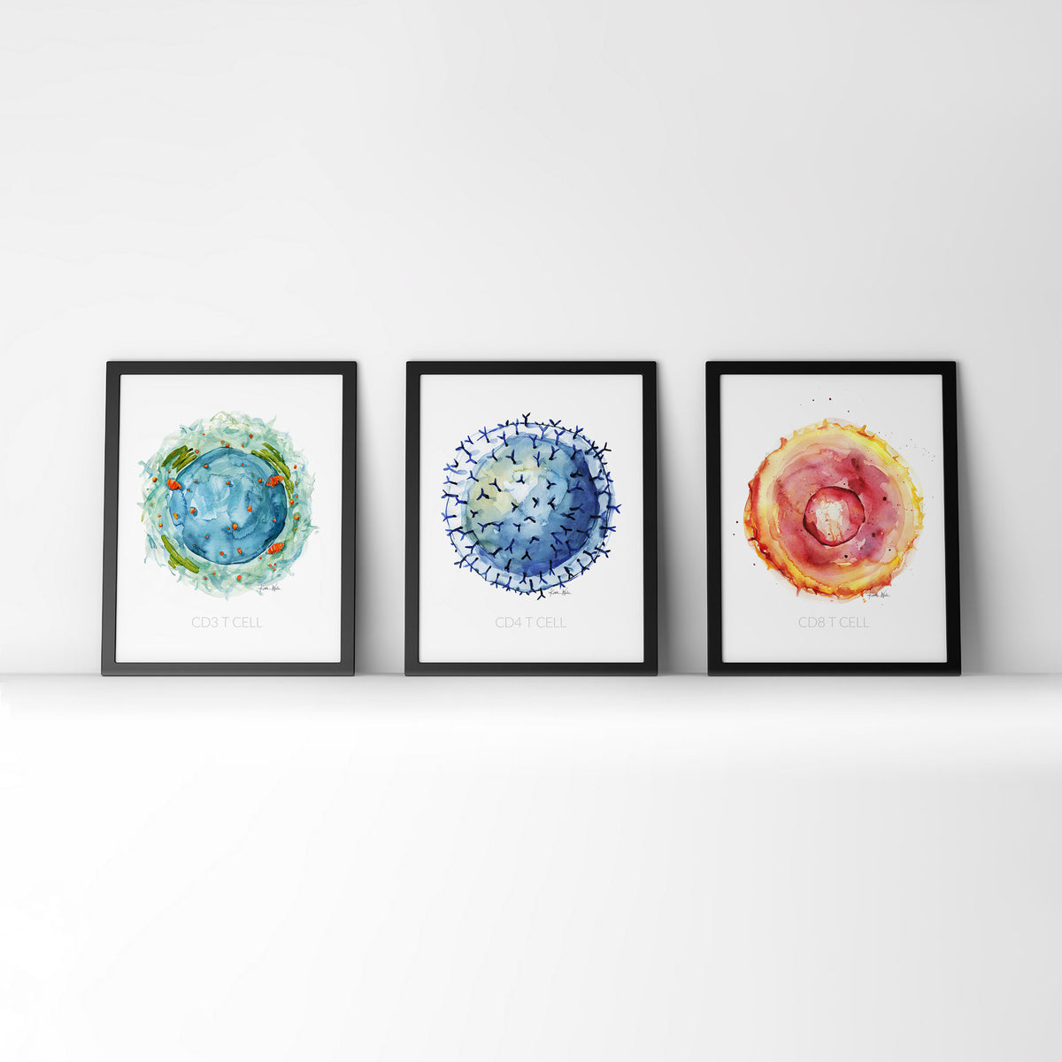 T-Cells Watercolor Print Set - Immune System Art - White Blood Cells ...