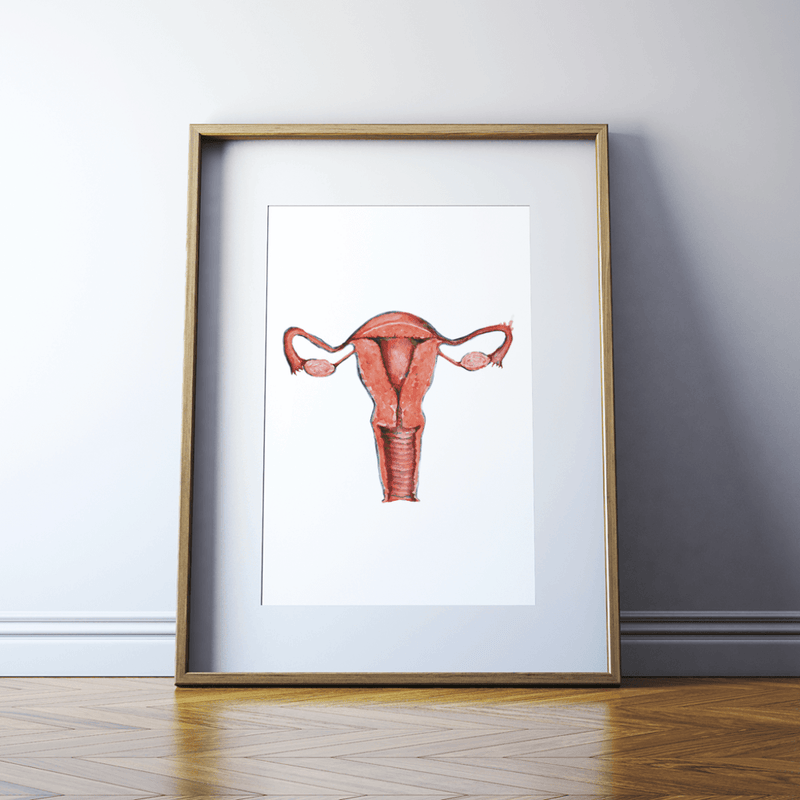 Uterus Print Watercolor