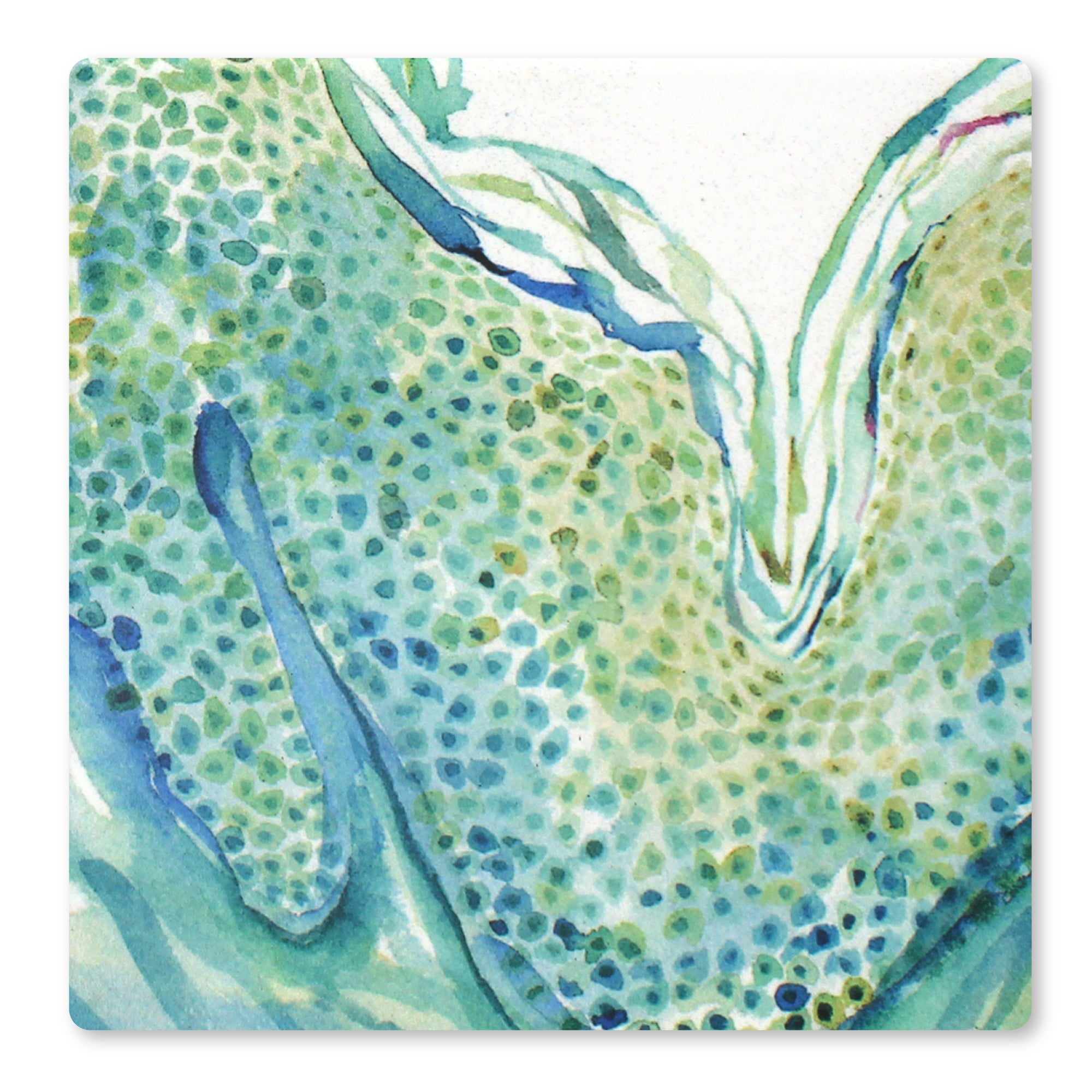 Skin Histology Ceramic Coaster Set of 4 - Lyon Road Art